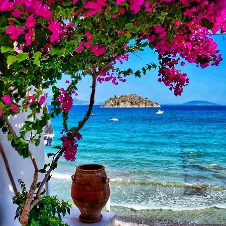 Enchanting Mycenae - Your Greek Retreat